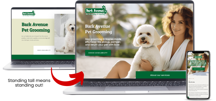 Before and After Website Images